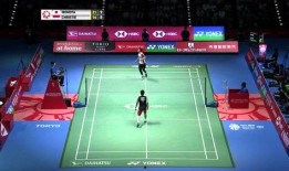 小羽毛球爆料网站大全最新,揭秘最新小羽毛球爆料网站大全